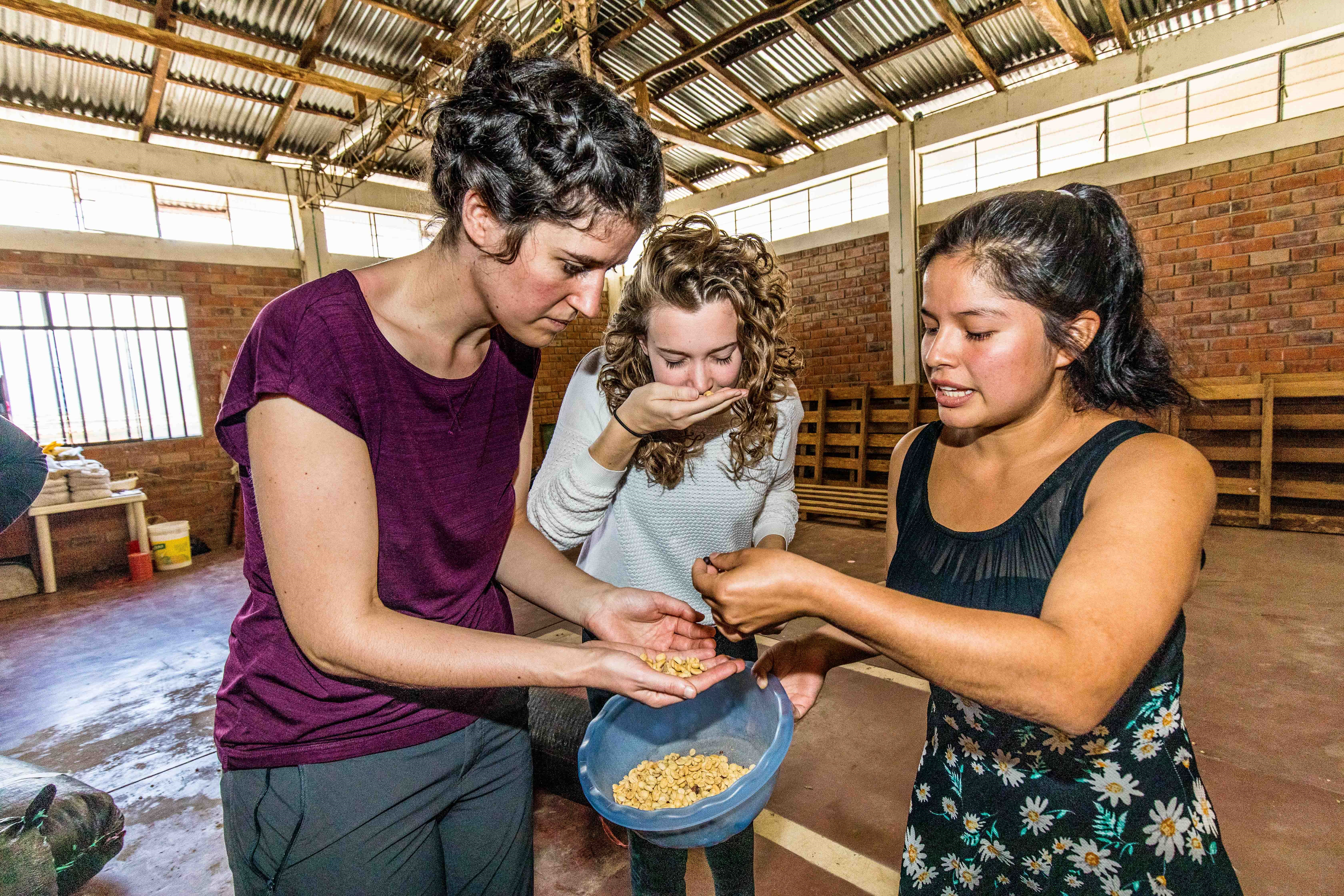 Teilnehmer*innen der Oikocredit Study Tour erfassen die Kaffeebohnen mit all ihren Sinnen: Geruch, Farbe, Konsistenz